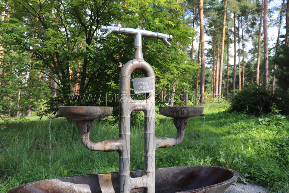 Pítko v Botanické zahradě